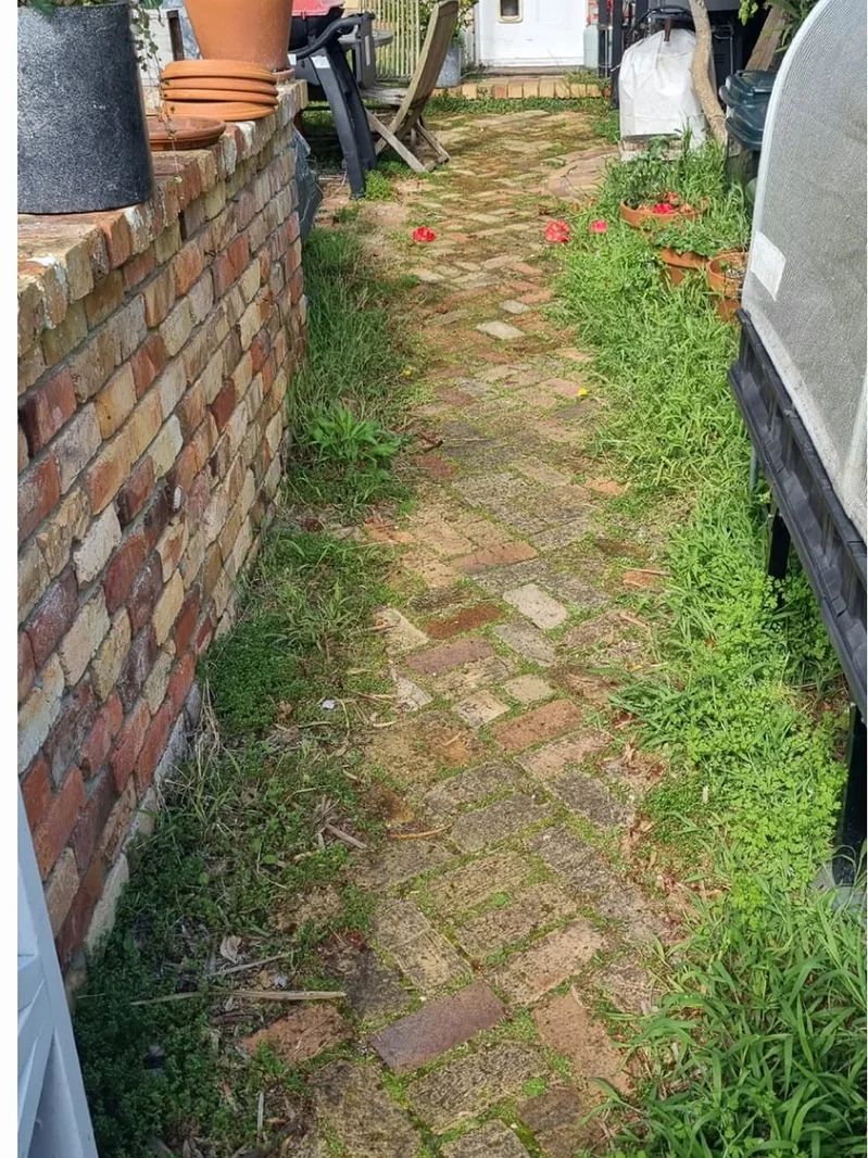 Brick pathway tidy-up: before work