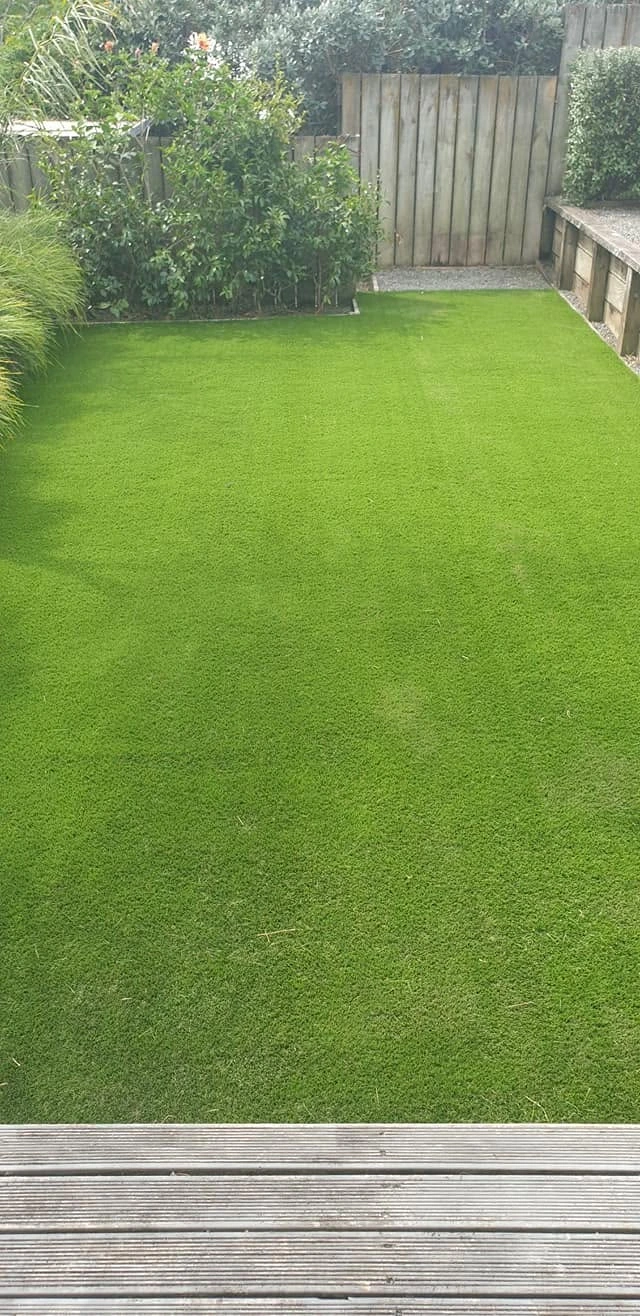 Courtyard lawn transformation: after work