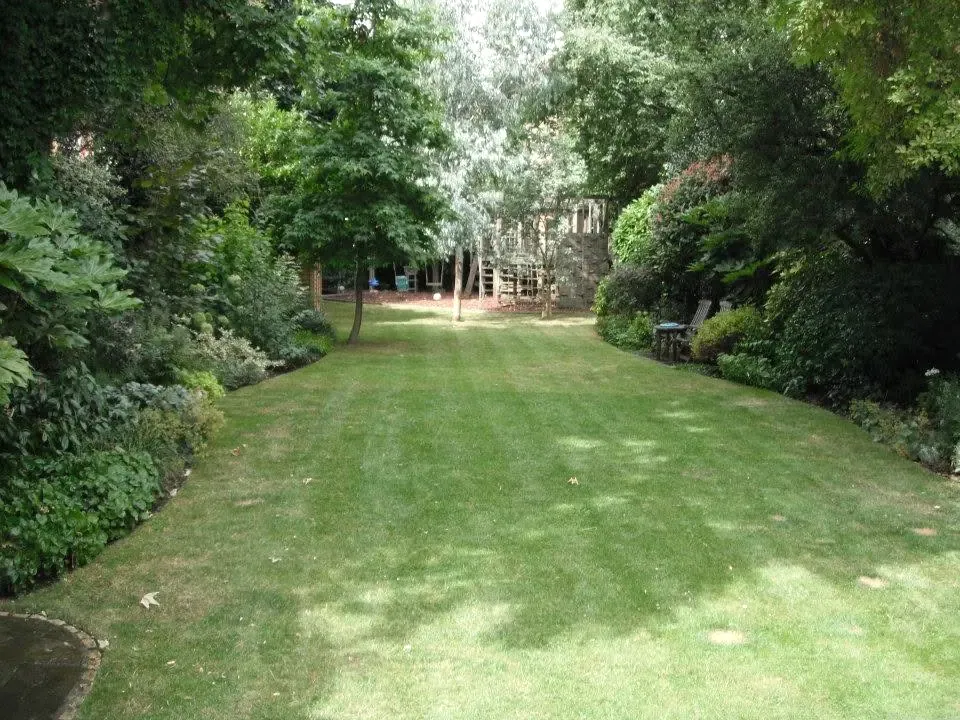 Freshly mown lawn bordered by established planting
