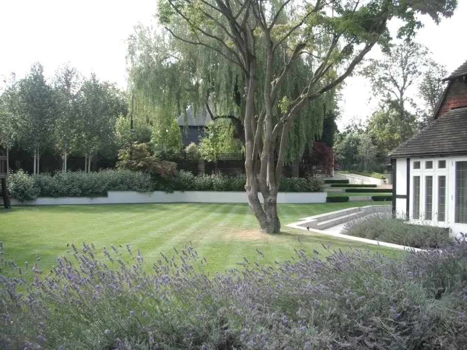 An established tree, lawn and garden borders