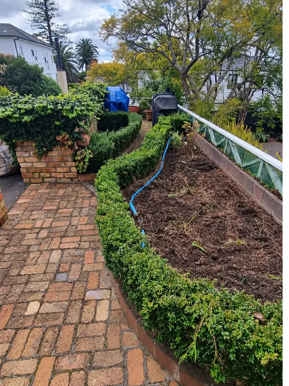 Cleared garden bed, clipped hedge and brick pathway