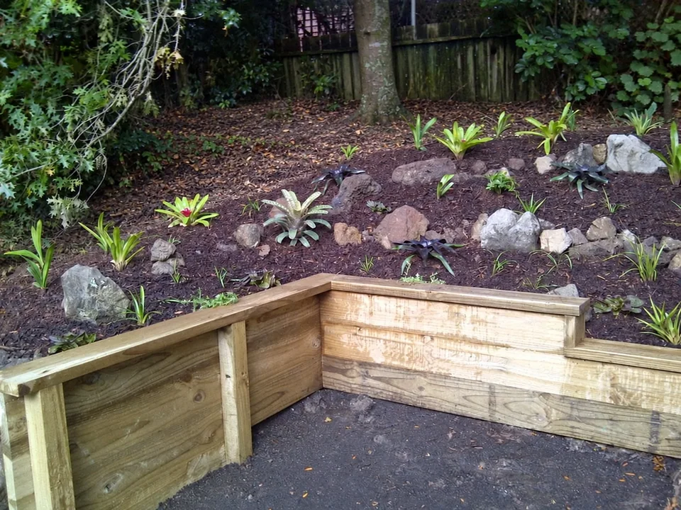 New planting above timber retaining beds