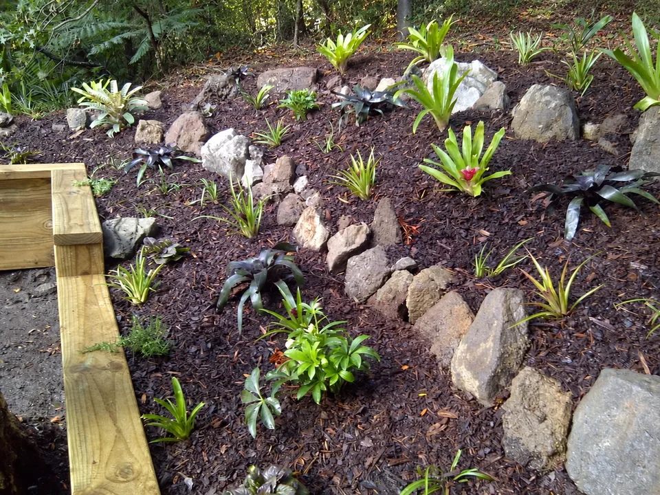 New plants set among rocks in a garden bed